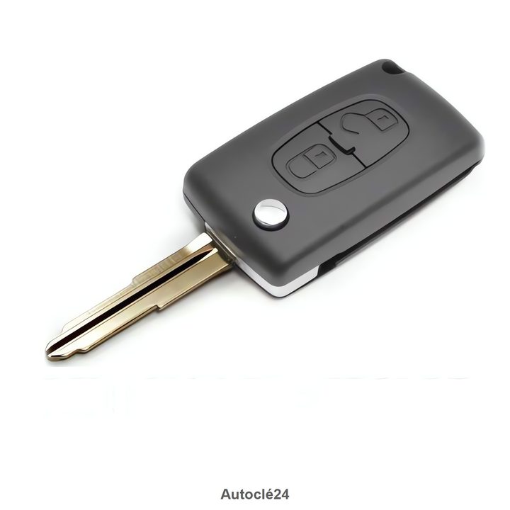 Télécommande Compatible Citroën C-Zero (2010 -2016) P/N 6490QA NR* NI REPRIS NI ECHANGE