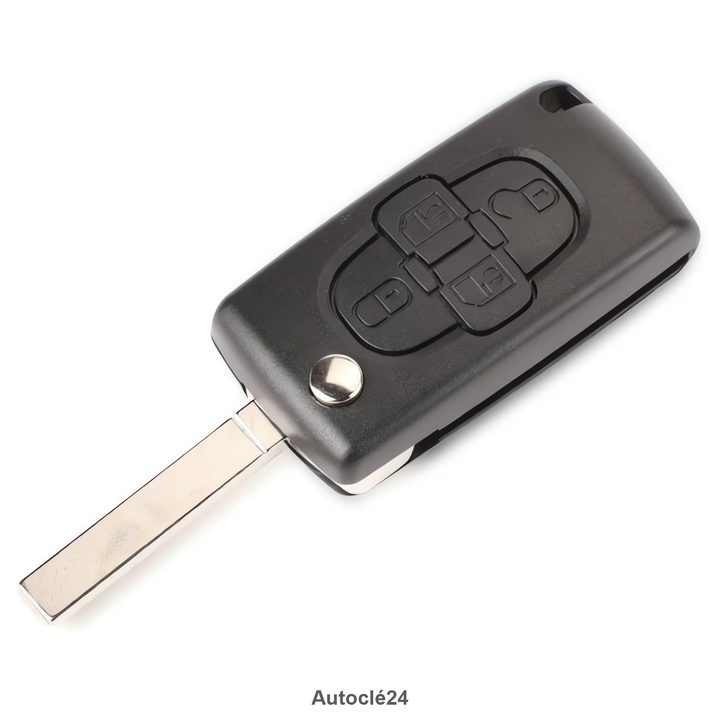 Clé Compatible Peugeot 1007 2004-2009