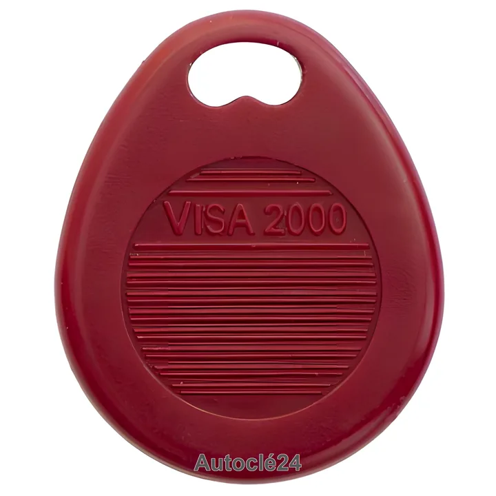 Reproduction de badge VISA 2000
